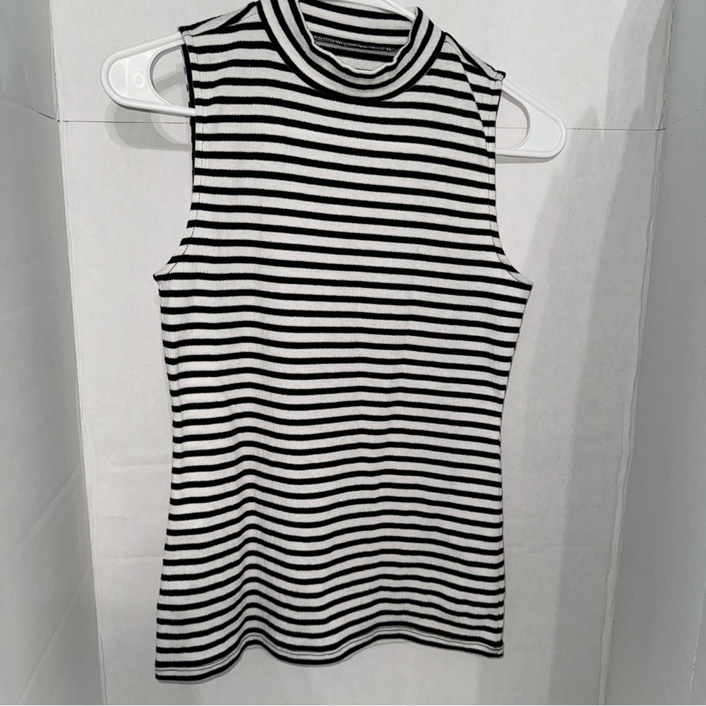 Loft Striped Sleeveless Turtleneck